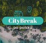 City break po polsku. Wyniki sondy