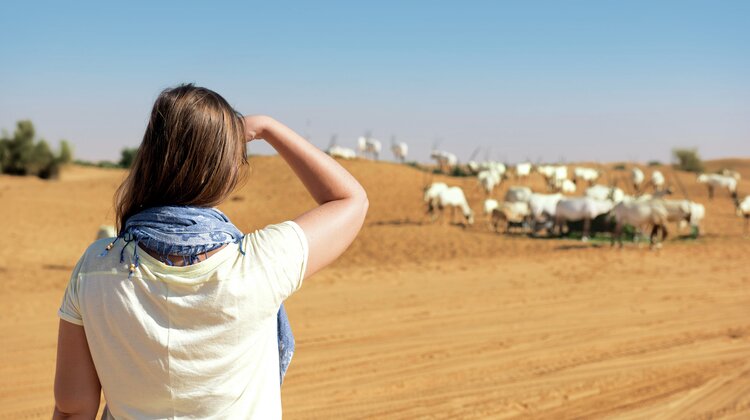 Rezerwat Dubai Desert Conservation publikuje pierwszy raport roczny środowisko naturalne, ekologia, sprawy społeczne - Warszawa, 28 lipca 2020 r.